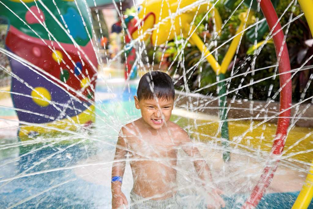Hilton Garden Inn San Jose/Milpitas Ανέσεις φωτογραφία